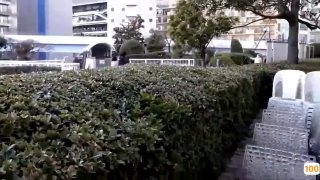 欧美深性狂猛ⅩXXX深